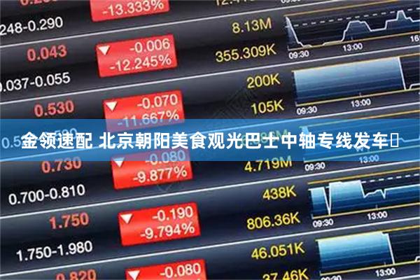 金领速配 北京朝阳美食观光巴士中轴专线发车​