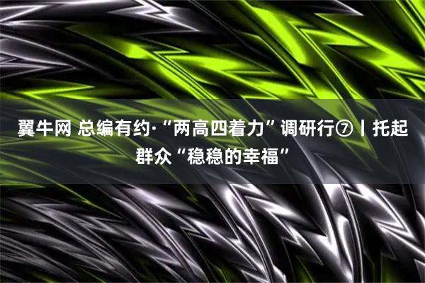翼牛网 总编有约·“两高四着力”调研行⑦丨托起群众“稳稳的幸福”