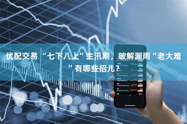 优配交易 “七下八上”主汛期，破解漏雨“老大难”有哪些招儿？