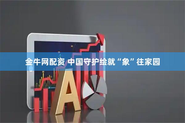 金牛网配资 中国守护绘就“象”往家园