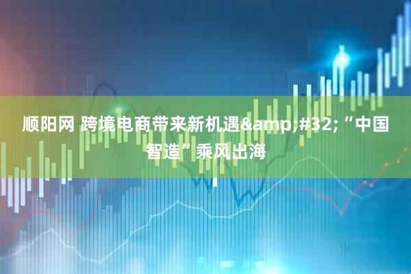 顺阳网 跨境电商带来新机遇&#32;“中国智造”乘风出海