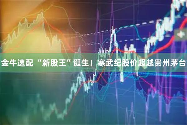 金牛速配 “新股王”诞生！寒武纪股价超越贵州茅台