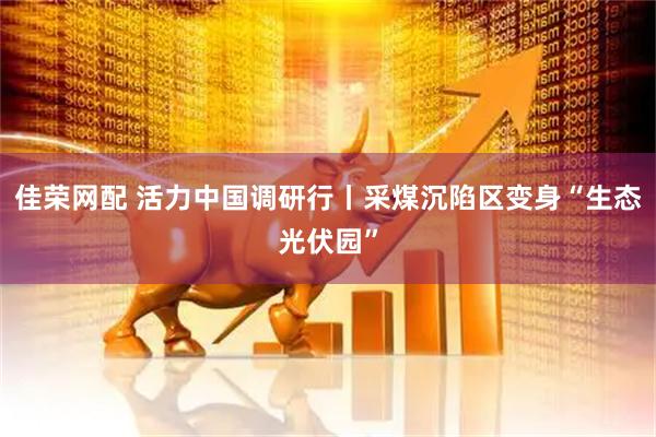 佳荣网配 活力中国调研行丨采煤沉陷区变身“生态光伏园”