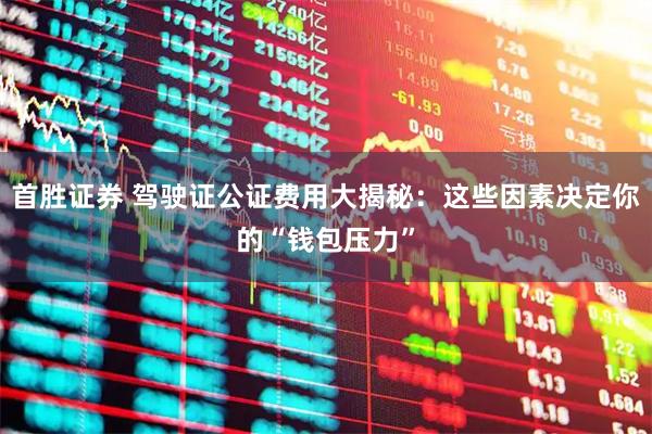 首胜证券 驾驶证公证费用大揭秘：这些因素决定你的“钱包压力”